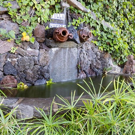 Casa Los Grabados, Piscina, Vistas, Barbacoa Y Zen Icod De Los Vinos Exteriér fotografie